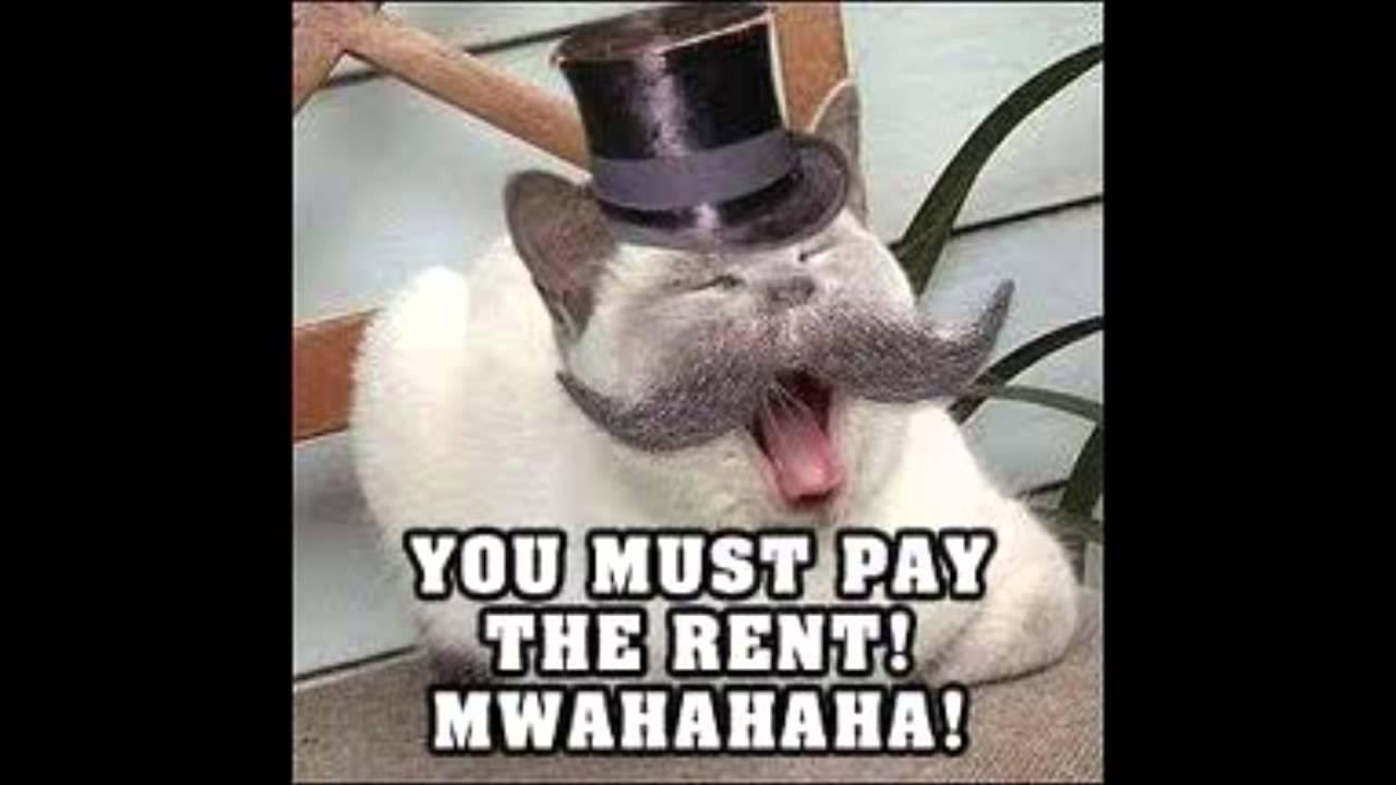 Use as required. You must pay. You must pay. Mustn't can't правило. You must pay.