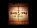 Irie souljah  learn and grow