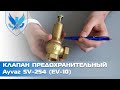 ⛲️Клапан предохранительный пружинный муфтовый Ayvaz SV-254 (EV-10) 🎥 | АРМАШОП