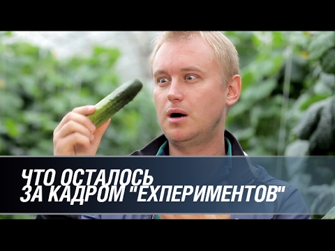 Что осталось за кадром "EXпериментов"