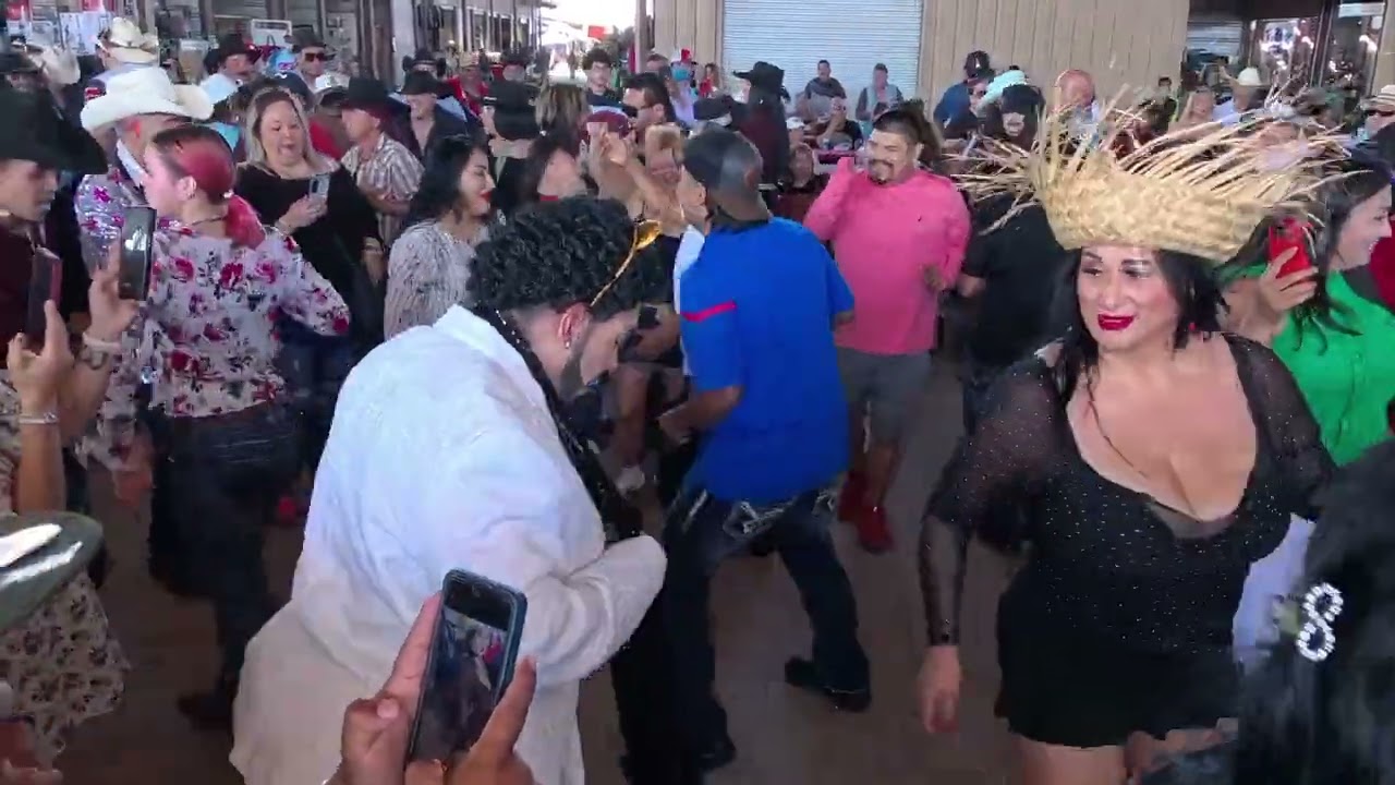 LA pulga de Álamo TX.