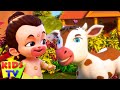 Meri Gaiya, मेरी गैया, Bacchon ke Rhymes, Hindi Song for Kids