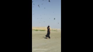 Reimagining Pakistan Through AI
