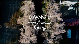 【忍野村公式】景色編 ＜Short Ver.＞ ～OSHINO'S Four Seasons Scenery～
