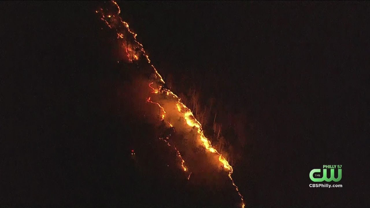 Wind Fueling Forest Fire In Downe Township, New Jersey