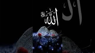 gorecho tumi Ai prithibi jahan tumi osim tumi mohan viral gojol 🤲🕌🌙✨#IslamicReels #Viral #Trending
