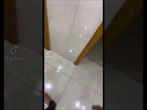 شيك شيك راس كعبول المقطع الاصلي