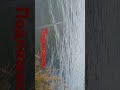 чебак НЕ КЛЮЕТ В Плохую ПОГОДУ  на go pro 🎥2204 2402 1622 1764 будем снимать качественный контент 💪🏻