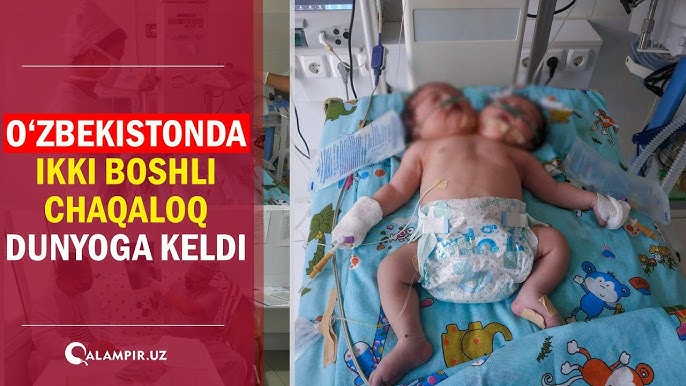 Tasmali pornodan erkak orgazmi Mast rus fohishasini olomon sikadi