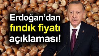 Findik Fi̇yatlari Ne Olacak? Ki̇losu 80 Tl Olacak Mi?