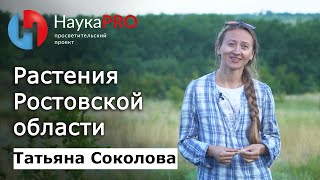 Растения Ростовской области | Краеведение Дона – ботаник Татьяна Соколова | Научпоп