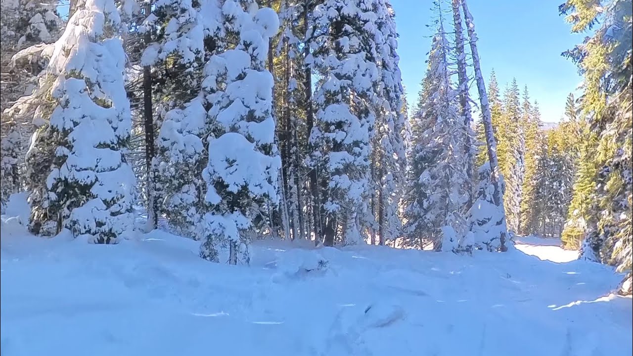 Backside Challenger Run at Northstar : Trees, Powder and side hits