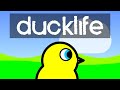 Duck Life Music - Training