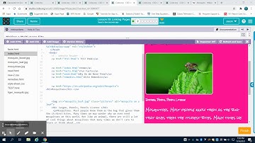 Code.org Lesson 19 Linking Pages Video 2