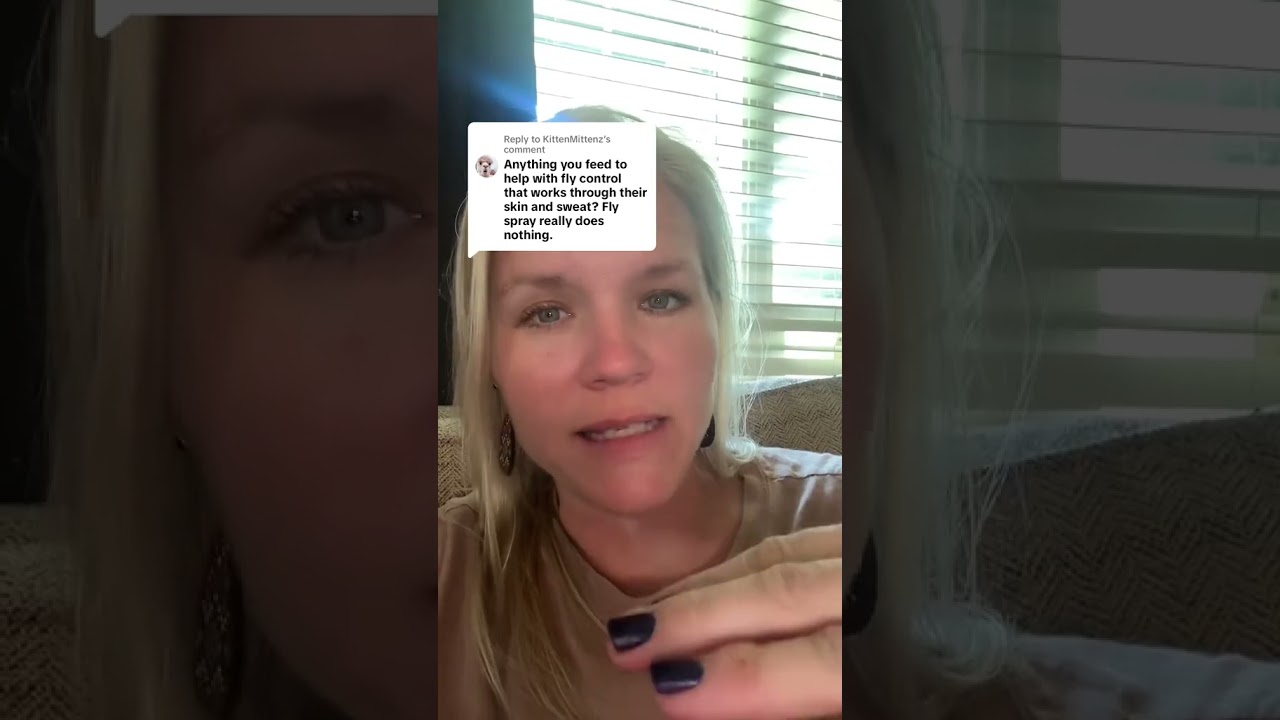 Things You Can Feed That Will Help Flies