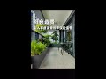A scenic view using ficus is created on the balcony at home, and our family is very satisfied with