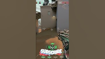 why they gotta nerf skye :( - Valorant