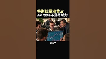 【特斯拉暴涨背后，真正的推手不是马斯克！】#特斯拉股票 #美股 #股哥说美股 #tesla #马斯克 #AI #FSD #木头姐 #Robotaxi