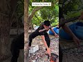 I Just Witnessed This 😂 #Funny #Viral #FYP #Shorts #Random