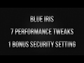 7 Blue Iris Performance Tweaks