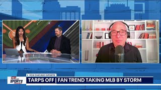 Fan Trend Takes Over Mlb Otas Underway For Bears  Chicago Sports Tonight