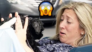 Giving Birth To Disgusting Baby| Just For Laughs Gags