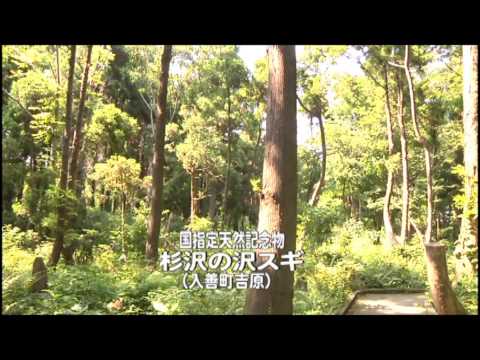 夢飛行PV 総集編
