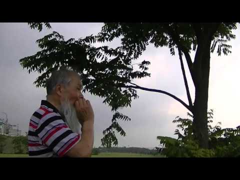 樹葉吹奏(葉笛)藝術洪政國樹葉吹奏之四“媽媽請你也保重”