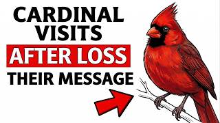 If a Cardinal Keeps Visiting After You Lost Someone, This Is the Message They're Sending