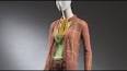 How Has Fashion Changed From Past to Present? ile ilgili video