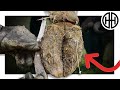One of the BEST HOOF TRANSFORMATIONS I ve ever worked on!