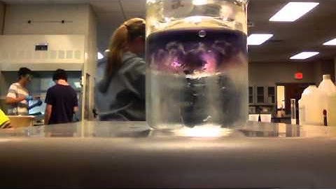 The Spooky Equilibrium Of Cobalt Chloride