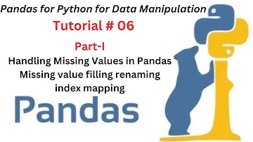 Session 06 - Part 1:Handling Missing Values in Pandas| Missing value filling renaming index mapping