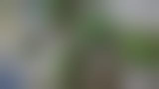 Nuevo indor Malawi   Magnum