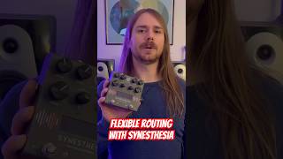 Flexible Routing with Synesthesia  #guitarpedals #pedalboard