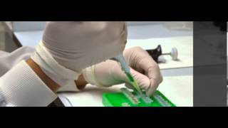 Neurophar a research group in UPF s Department of Experimental and Health Scienc