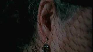 Night Of The Shooting Stars - Bombs