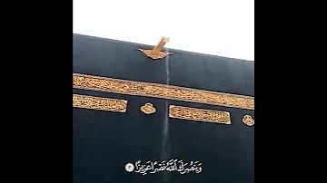 إنا فتحنا لك فتحا مبينا 