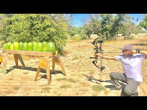 How Many Watermelons it takes to stop Arrows?