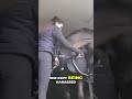 Horse Harasses Owner, Hamster Catches It On Camera! #shorts