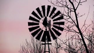 Windmill & Tree Branches Silhouetted Against the Sky - Free Stock Footage