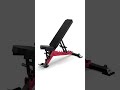 Which Raptor Bench are you taking home?