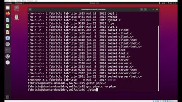 pipe.c - Usando um Pipe para Comunicação com um Processo Filho no Linux