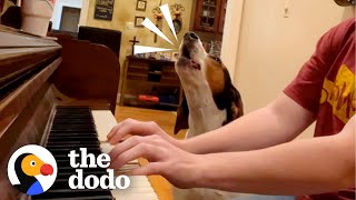 Dog Insists His Mom Plays His Favorite Song | The Dodo