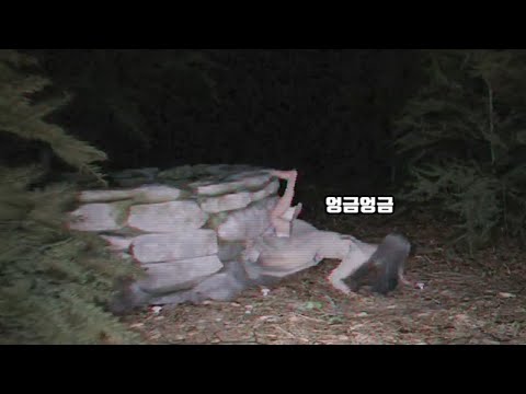 비명 지르면 죽는다