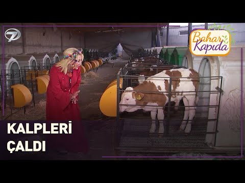 Büyükbaş Dedik, Bu Tatlı Nereden Çıktı | Bahar Kapıda | Aksaray