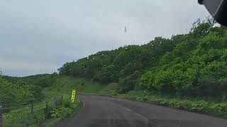 Celebrity Small deer lagging in Rausu, Hokkaido (NEAR CRASH) Profile