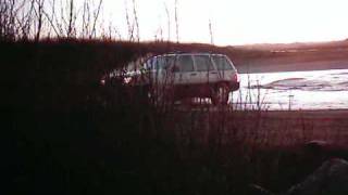 Some Do And Some Dont At Clam Beach