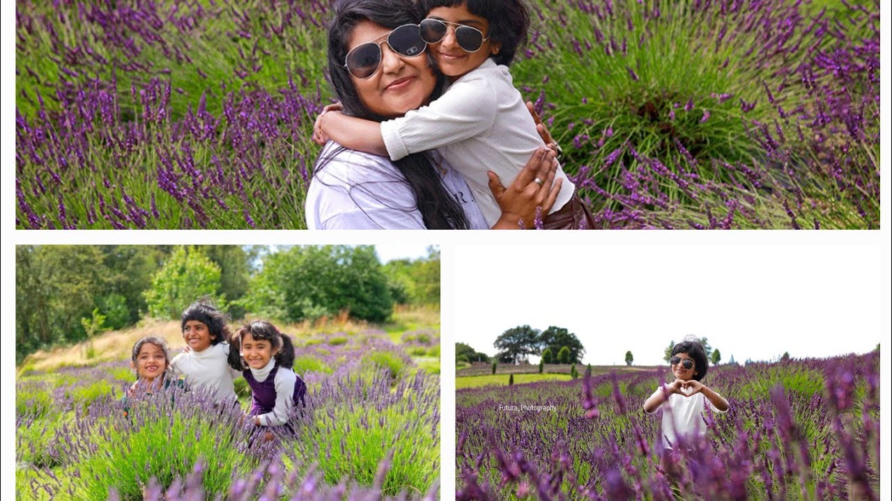 uk  ലെ lavender farmലേക്ക്  ഒന്ന് പോയാലോ 🥰|Traval vlog| Lavender farm visit with friends❤️|