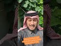 التعريف بالصحابة غير المشهورين ١٢٣ ميسرة بن مسروق العبسي وقعت الردة فثبتت عبس فلم يرتد منهم أحد
